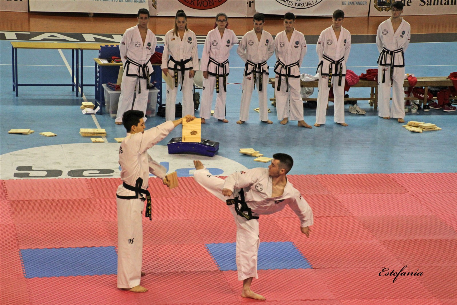 Taekwondo (225).jpg